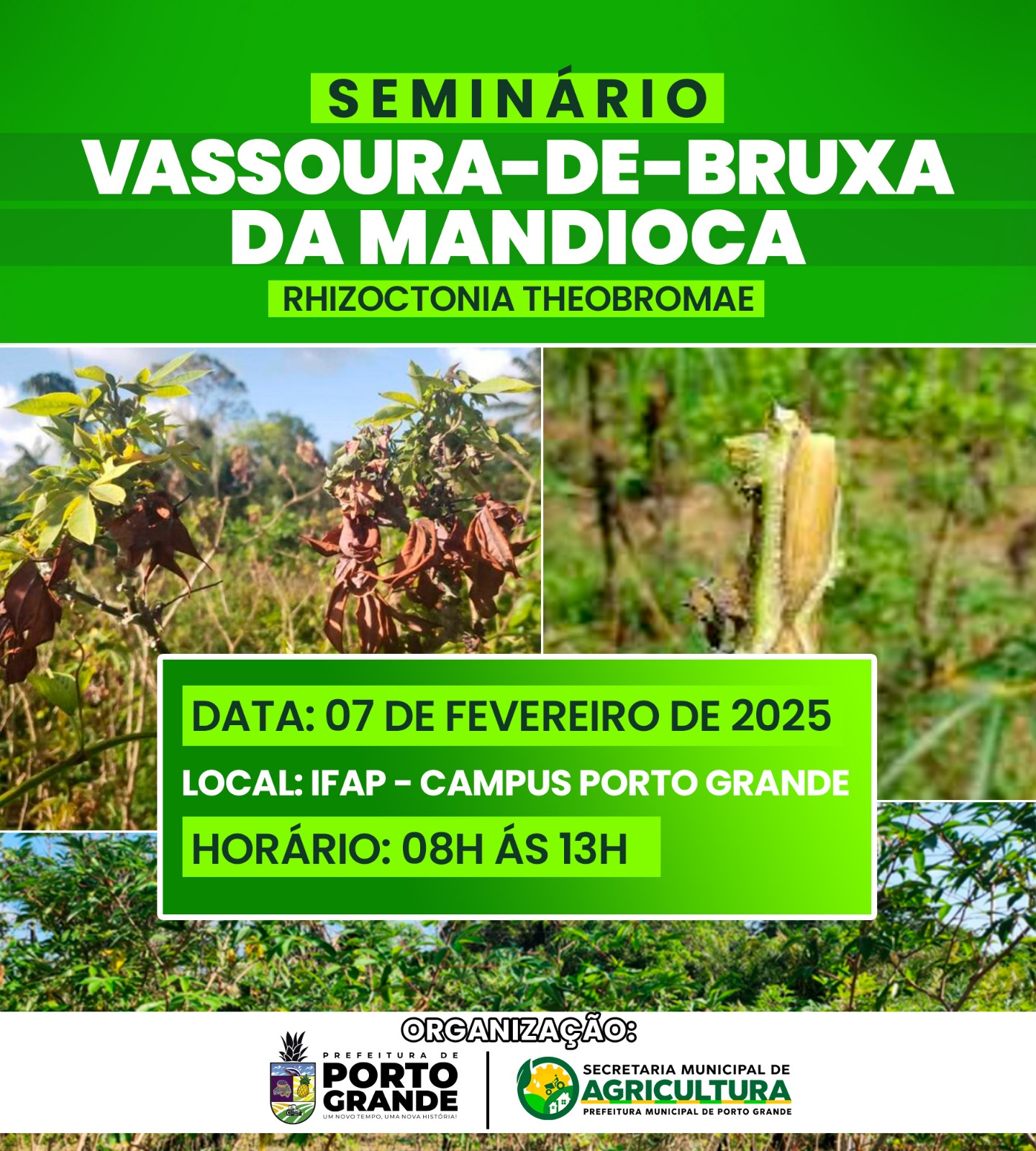 SEMINÁRIO SOBRE A VASSOURA-DE-BRUXA DA MANDIOCA - IFAP- PORTO GRANDE